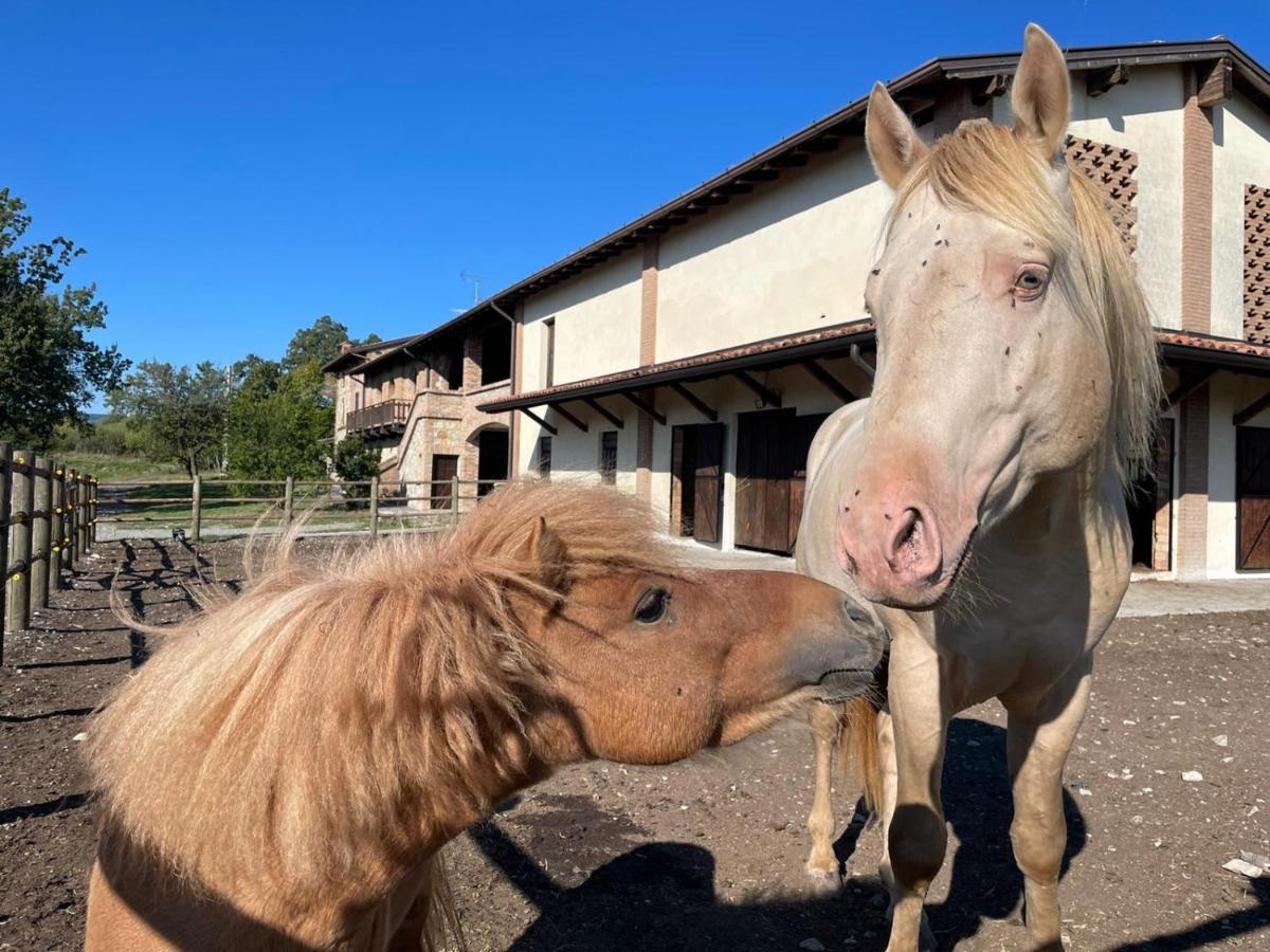 Вілла Agriturismo Cergallina Vernasca Екстер'єр фото