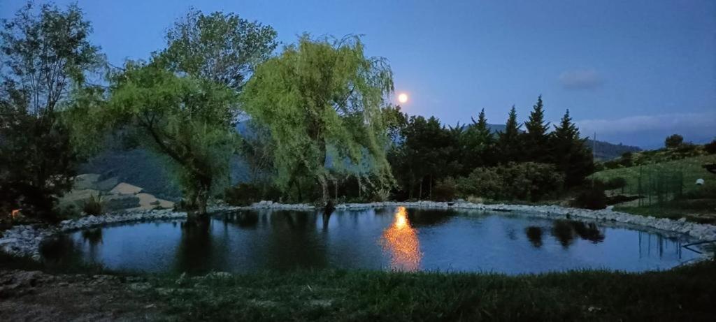 Agriturismo Cergallina Vernasca Екстер'єр фото