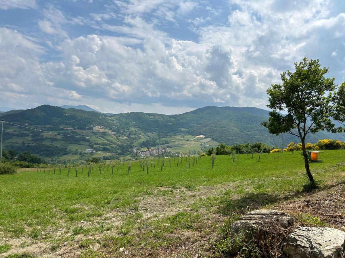 Вілла Agriturismo Cergallina Vernasca Екстер'єр фото