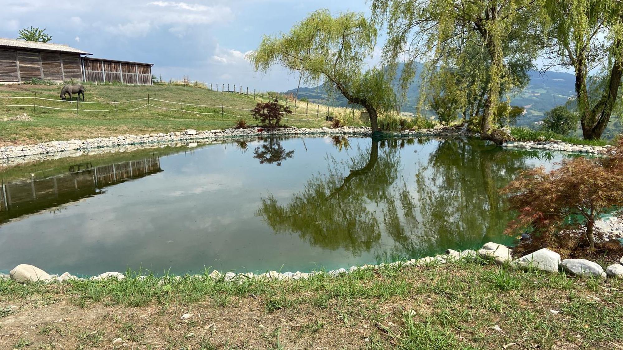 Вілла Agriturismo Cergallina Vernasca Екстер'єр фото