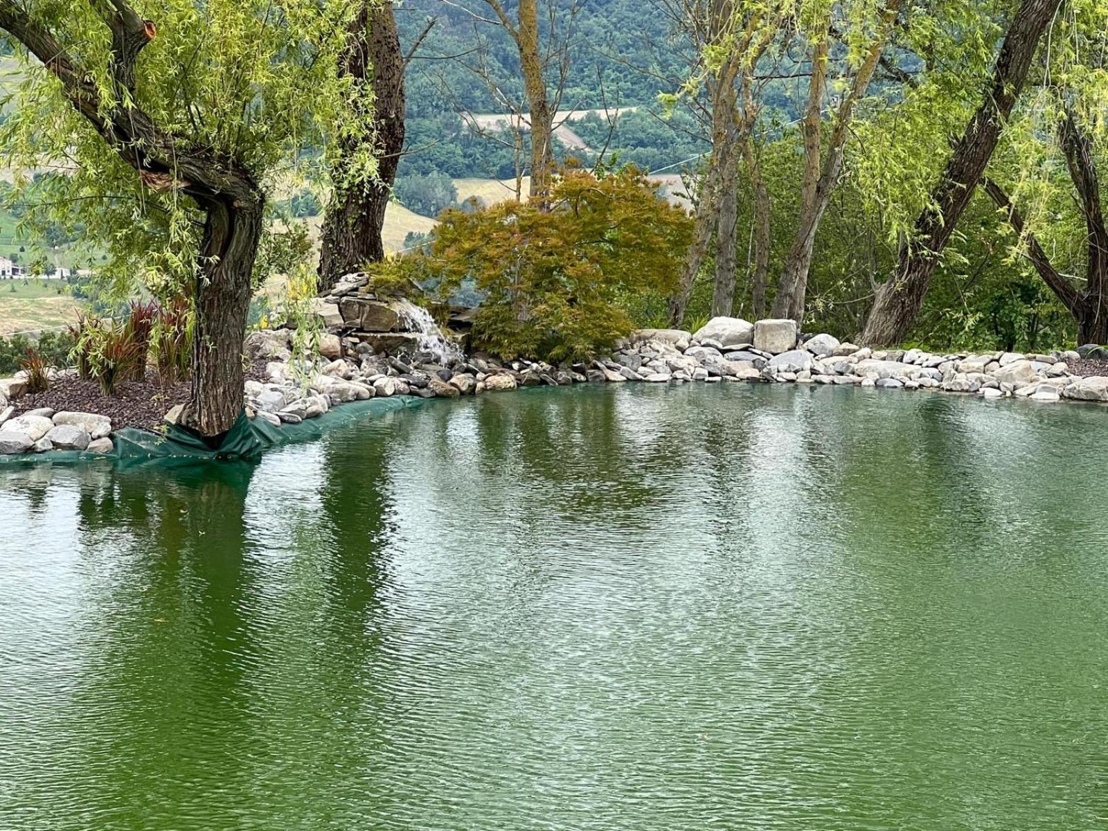 Вілла Agriturismo Cergallina Vernasca Екстер'єр фото